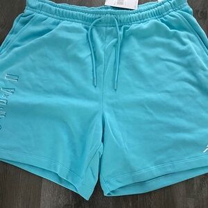 Nike Jordan Brand Fleece Shorts MENS 2XL New